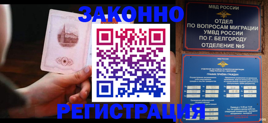 прописка 2025 в Черногорске